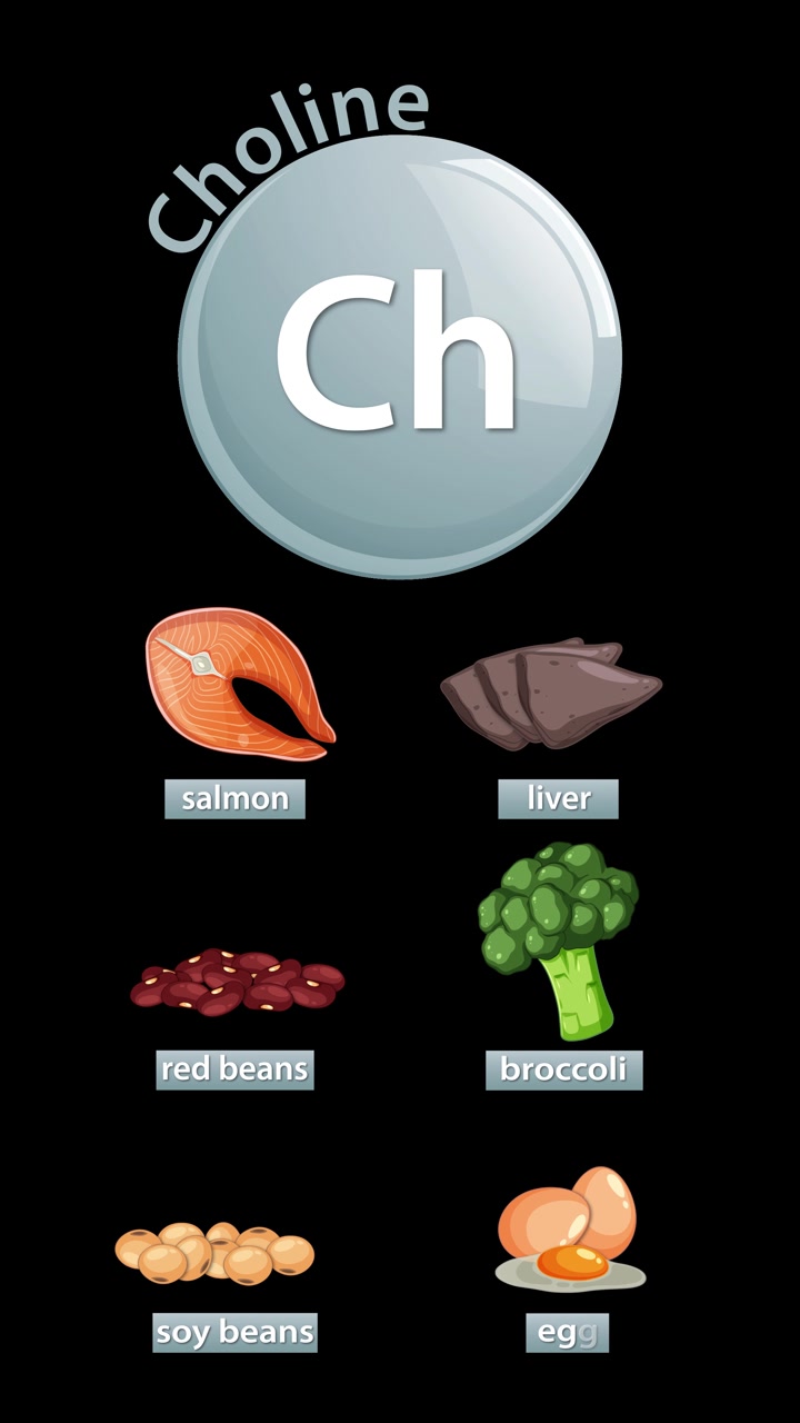 Animated infographic reveals choline-rich foods including salmon, liver, red beans, broccoli, soybeans, egg