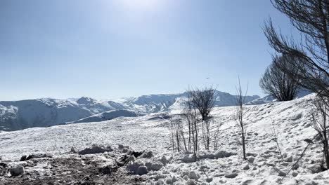 Farellones-Santiago-De-Chile-Fluss-Tag-Natur-Schnee-Und-Falke