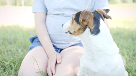 woman with her dog on the grass