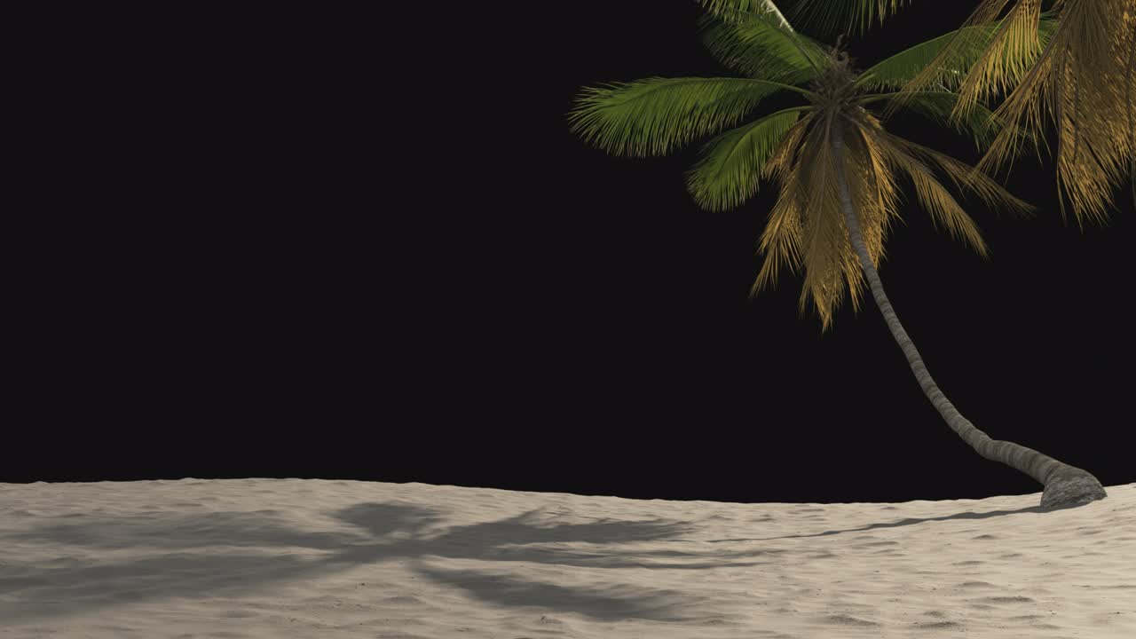 playa con palmeras tropicales en un fondo transparente.