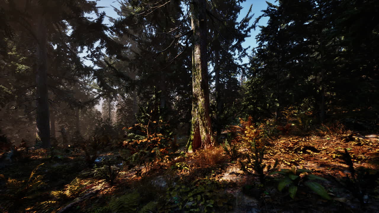 rayos de sol en un bosque exuberante