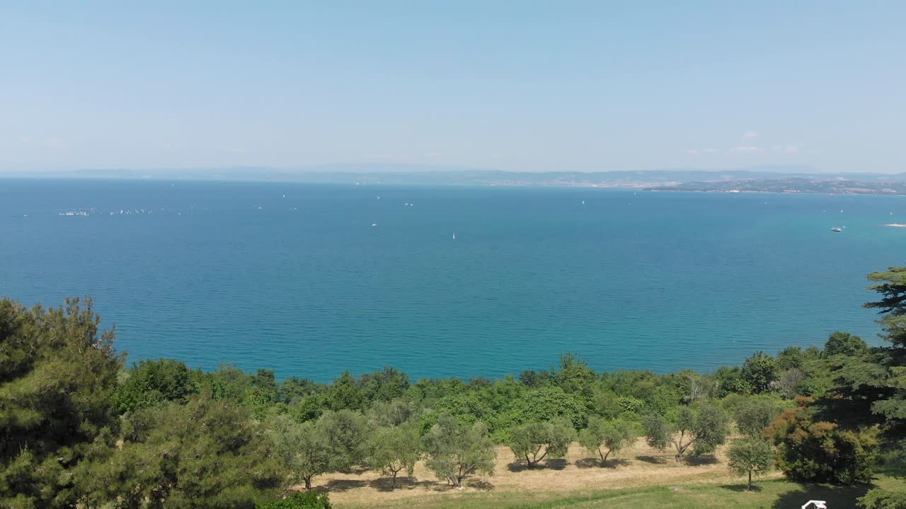 aerial view of slovenian coastline, drone flying backwards above sea and olive grove