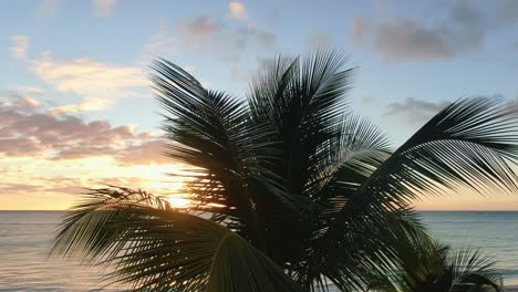 Palme-Im-Tropischen-Sonnenuntergang,-Ruhige-Und-Romantische-Szene,-Idyllische-Urlaubsszene