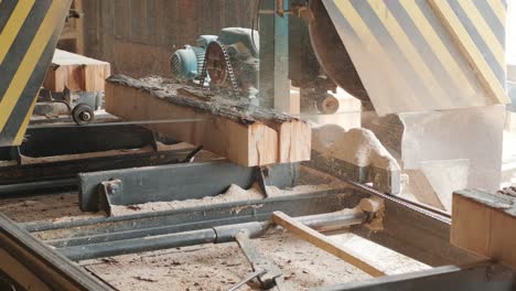 primer plano de un tronco de pino cortado en una máquina de aserrar en una fábrica de producción de madera. procesamiento y corte de material de madera en un aserradero. proceso de fabricación en un aserrador de madera. aserrar maderas en una máquina eléctrica