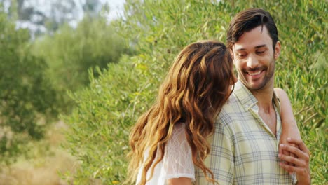 pareja romántica abrazándose en una granja de olivos 4k