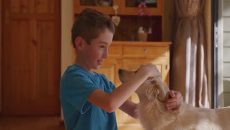 boy at home with his dog 4k