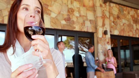 mujer sonriente bebiendo un vaso de vino tinto