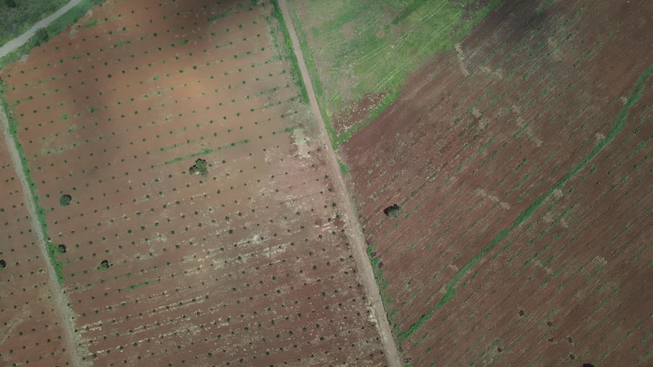 vista de arriba hacia abajo del suelo cultivable de las tierras de cultivo en el sur de kenia, áfrica
