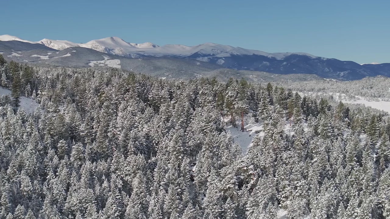 Gunung Blue, langit, Desember, Natal, negeri ajaib musim dingin, drone udara, Evergreen Colorado, hutan belantara Gunung Evans, bersalju, dingin, puncak Pegunungan Rocky, Marshdale, pohon pinus konifer, hutan, langit cerah, belok kanan