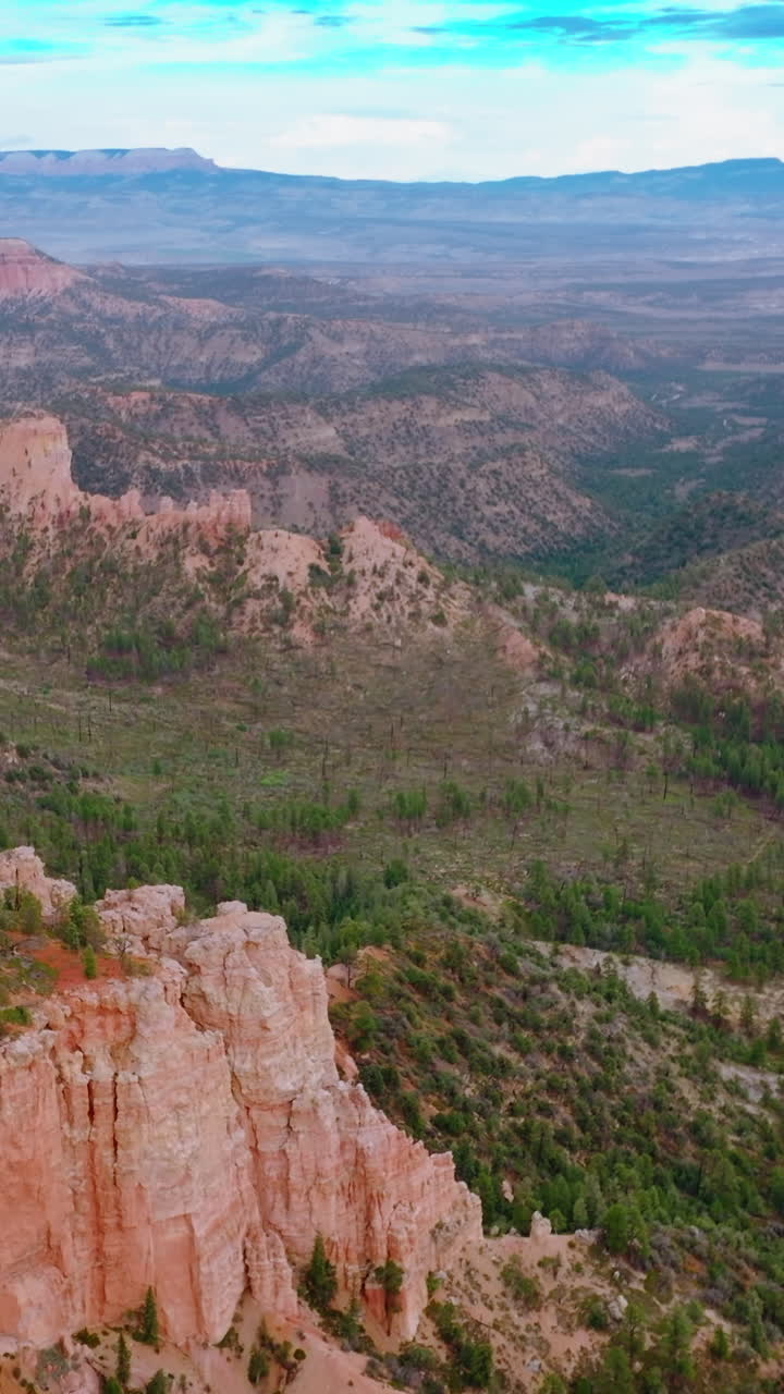 Panning view of the beautiful rocks in Utah, USA. Pine tree forest covering the landscape at the backdrop of blue sky. Vertical video