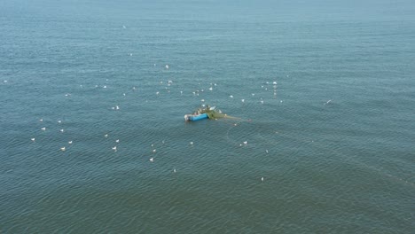 antena: bandada de gaviotas rodea a los pescadores en color azul redes de lanzamiento de barcos en el mar báltico