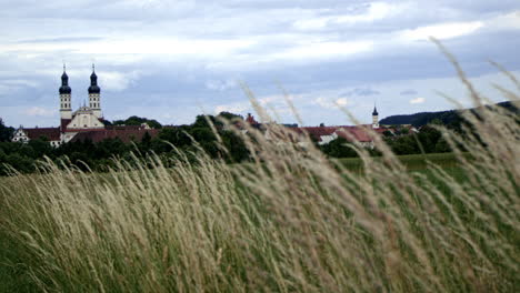 wheat field near the german village