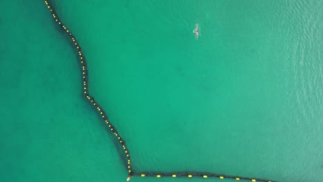 Person-Swimming-At-Morning-Into-Shark-Protective-Net-In-Coogee-beach,-Perth-City