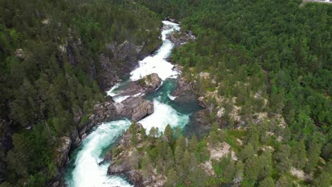 Gebirgsfluss-Zwischen-Den-Wäldern-Norwegens