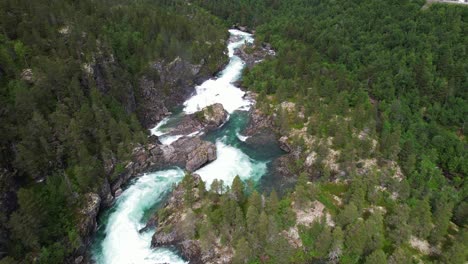 mountain river among the forests of norway