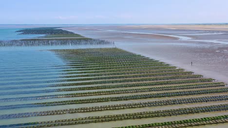 aerial over french mussel farm at utah beach normandy france 1