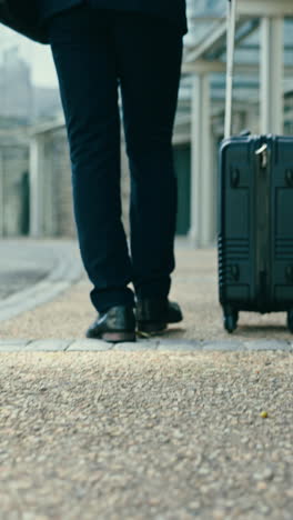 business man, back and suitcase in street