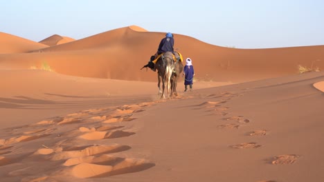 camellos caminando en el desierto dejando huellas en el desierto del sahara, marruecos, áfrica