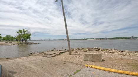 time lapse of canadian geese swimming in the mississippi river along the illinois banks in view of the arches of the iowa-illinois memorial bridge