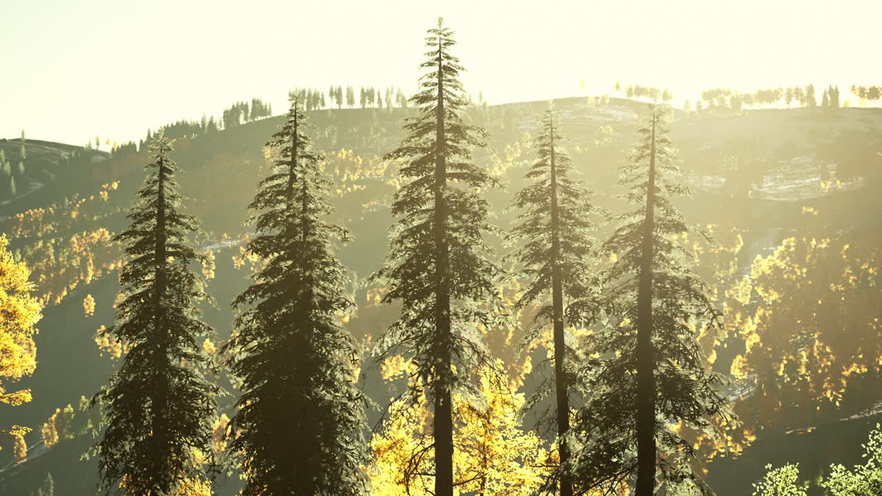 가을 스칸디나비아 숲과 풍경과 활기찬 가을 색상