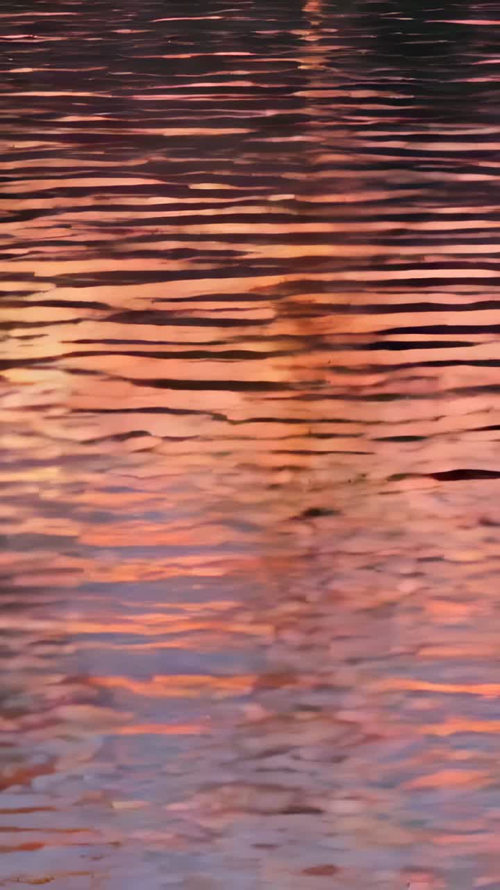 Vertical video: Rippling water surface reflecting dusk colors at lake, with thin streaks from waves