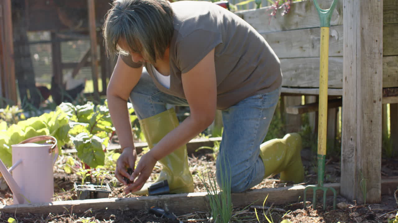 una mujer biracial senior plantando semillas en un jardín soleado, en cámara lenta.