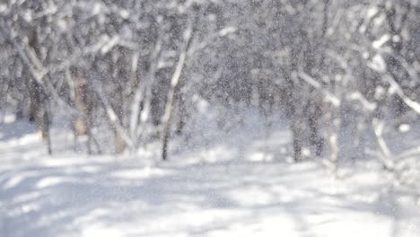 paisaje de invierno durante las nevadas. fondo abstracto de navidad de invierno en súper cámara lenta.