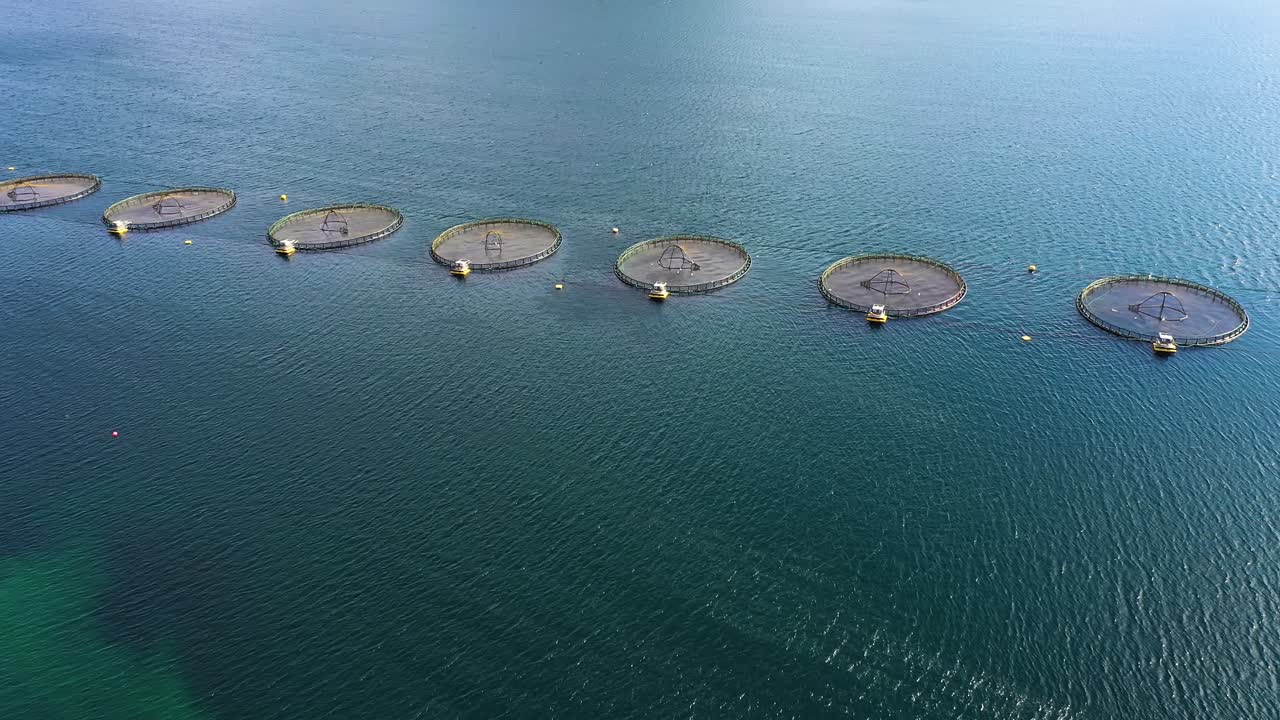 노르웨이에서 연어  ⁇ 시를 하는 공중 촬영