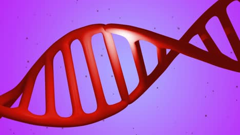 Animation-of-macro-red-dna-strand-spinning-on-purple-background
