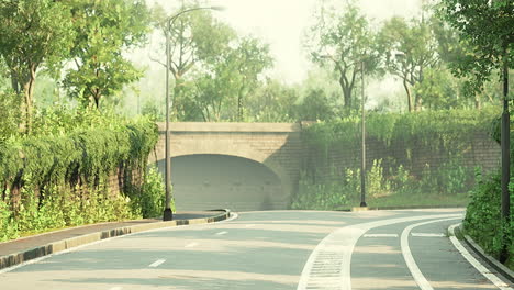 View-of-empty-road-with-lamp-post-and-sunlight