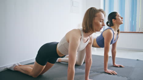 entrenamiento de yoga pareja flexibilidad en el estudio doméstico. dos mujeres atletas entrenamiento