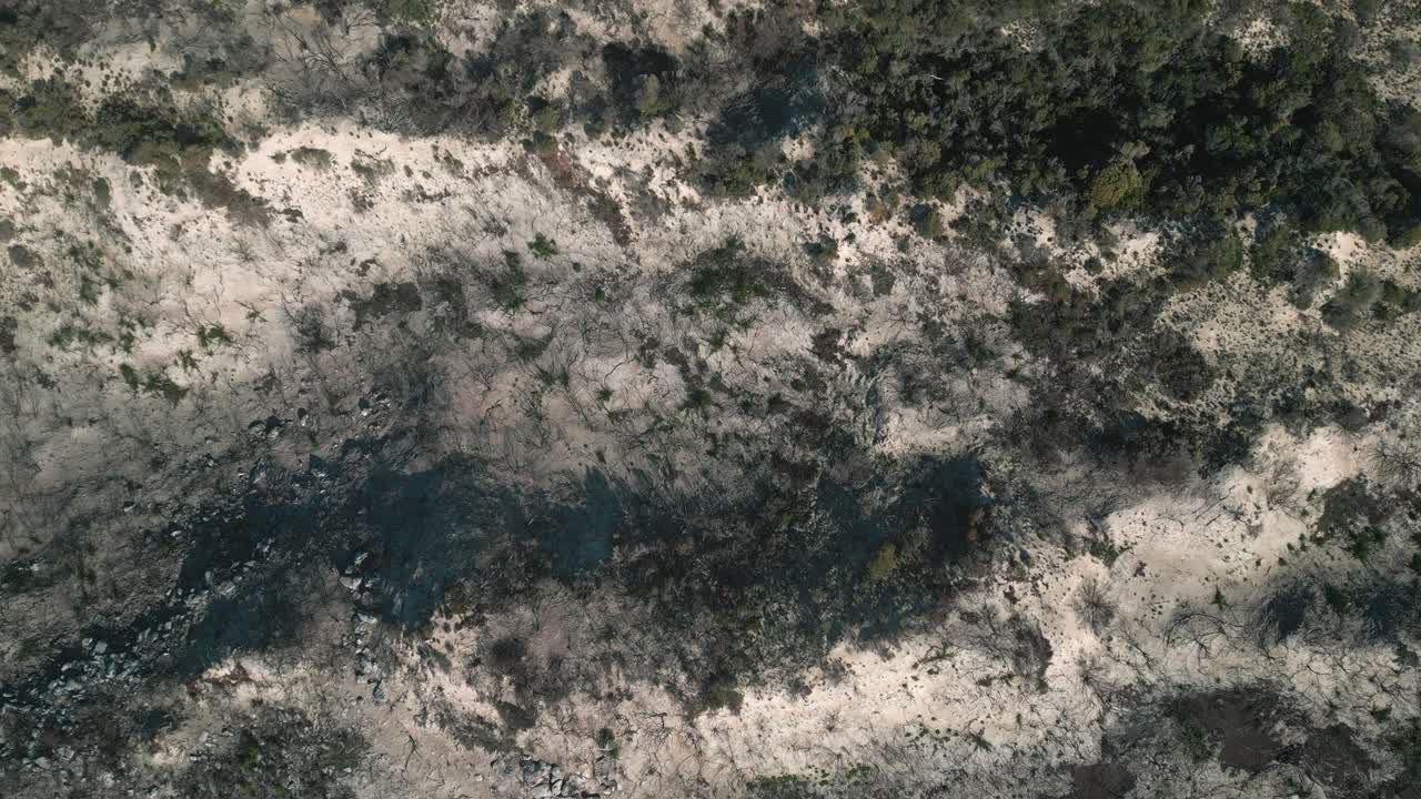 montaña quemada de la temporada de incendios de verano