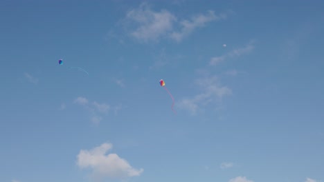 Kites-flying-in-the-sky