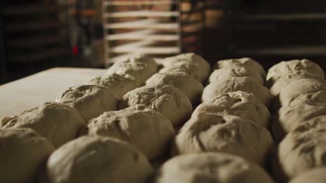 animation of rows of fresh prepared rolls ready to bake