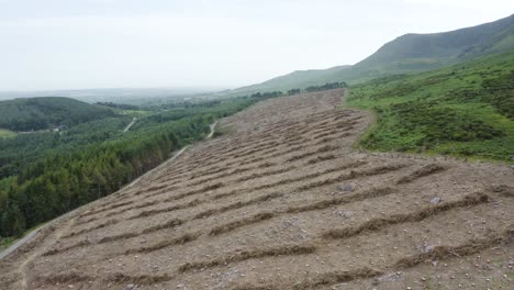 Deforestation-aerial-drone-view-1