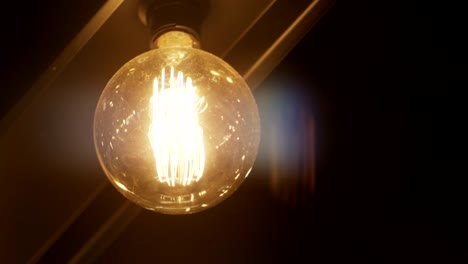 retro light bulb lighting series. ball shape.