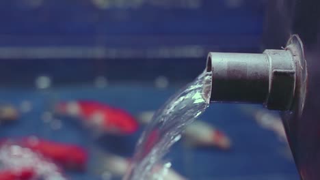 closeup of a short pipe pouring clean water to a koi pond for oxygen exchange