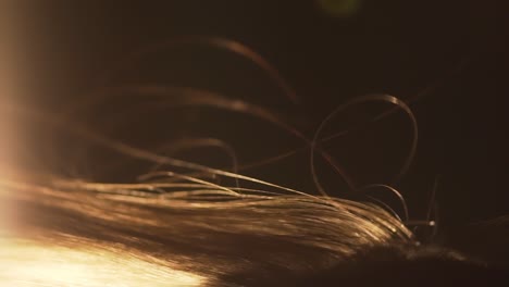 close-up of hair in a dark environment