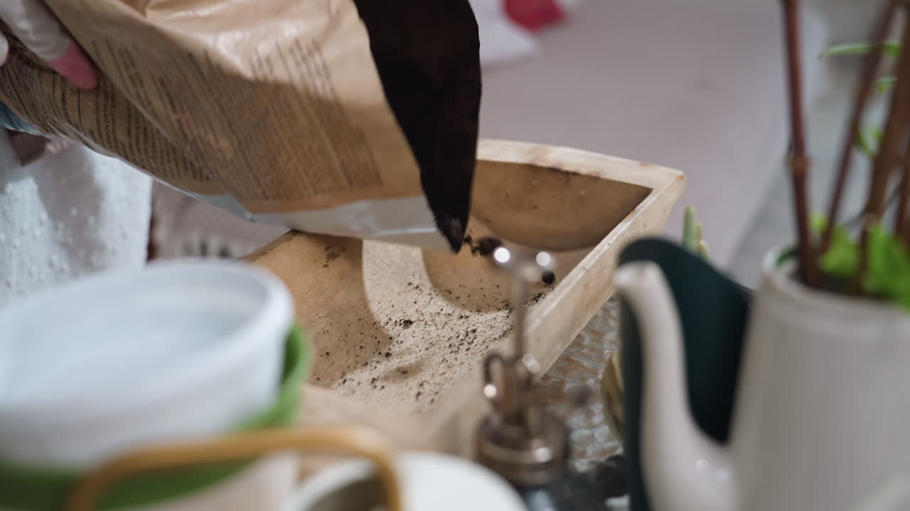 Hand view of gardener wearing white gloves pouring sand from cut open bag into wooden container on glass table beside indoor green plants against white brick wall cozy greenhouse