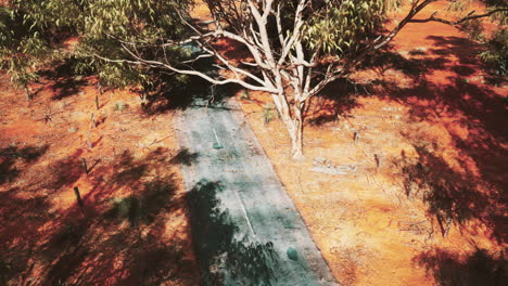 camino solitario a través del interior de australia
