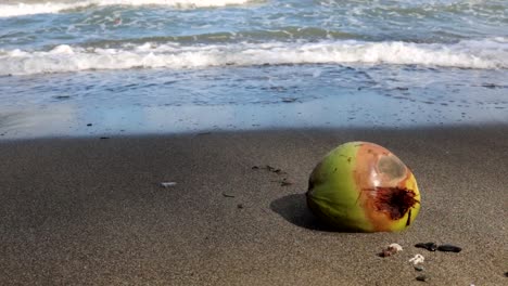 una fruta de coco en la playa con olas en movimiento en el fondo