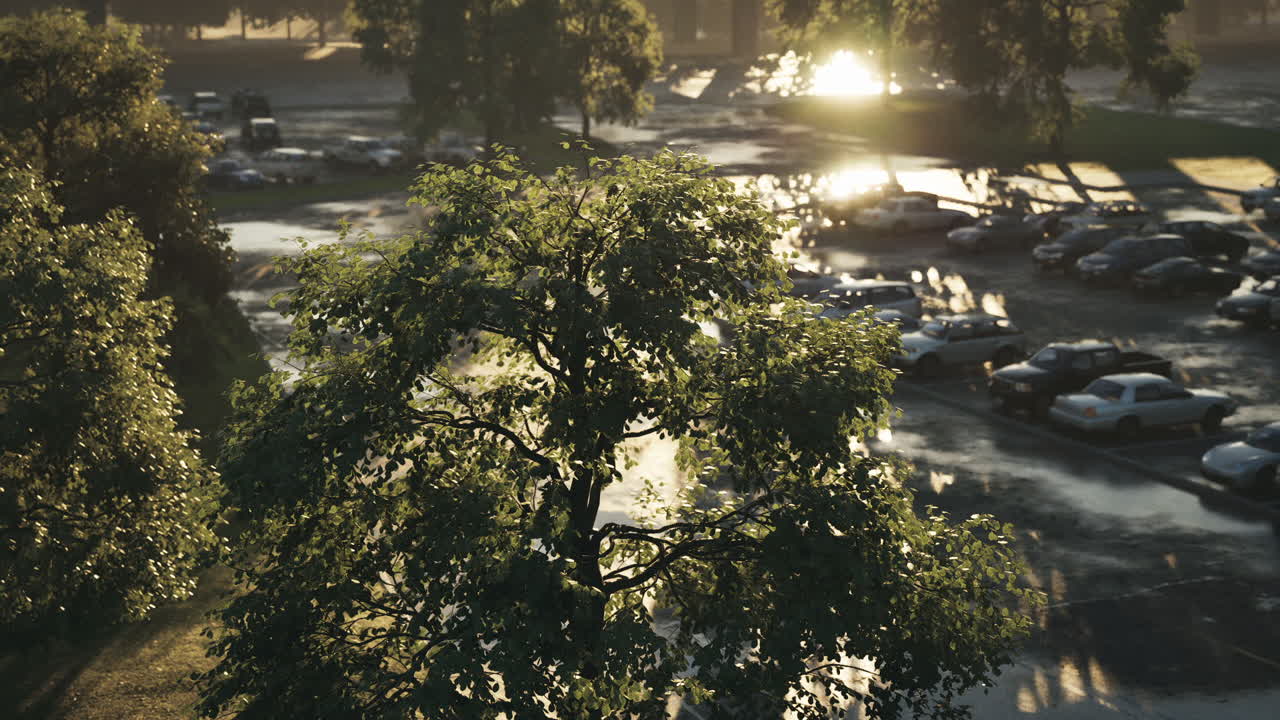 해가 지는 나무에서 주차장에서