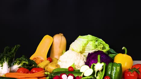 assorted vegetables arranged against a black background