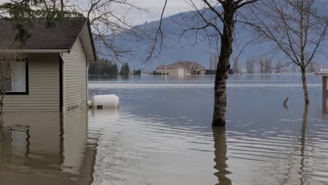 Häuser-Und-Bäume,-Die-In-Abbotsford,-BC,-Kanada,-In-Tiefes-Hochwasser-Getaucht-Sind,-Das-Durch-Einen-Schweren-Regensturm-Verursacht-Wurde