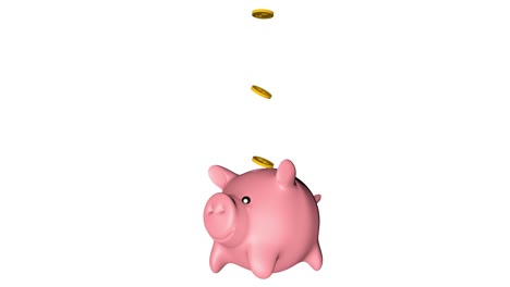 gold coins falling into the piggy banks .growing investment concept. loop