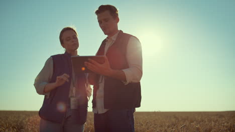 two farmers work tablet computer in golden sunlight. modern agritech industry.