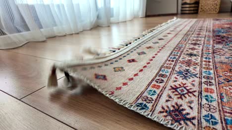 wooden floor with rugs and curtains