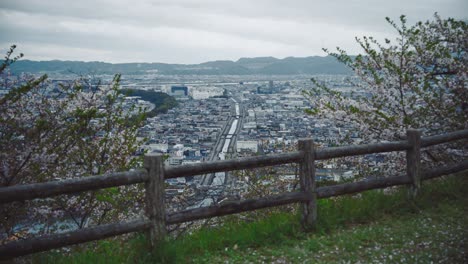 con vistas a saikazaki, japón con flores de cerezo enmarcando la vista de la ciudad de abajo en un día nublado