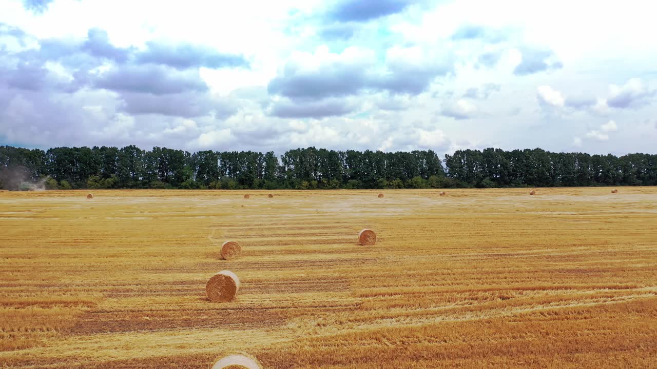 Drone view on the agricultural field background outdoors. Yellow field with a lot of pressed bales scattered on the green trees background under cloudy sky.