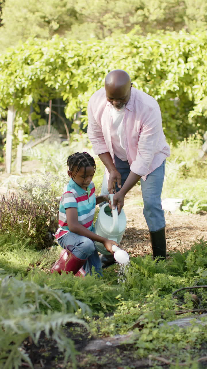 Vertical video of african american grandfather and grandson watering plants in garden, slow motion
